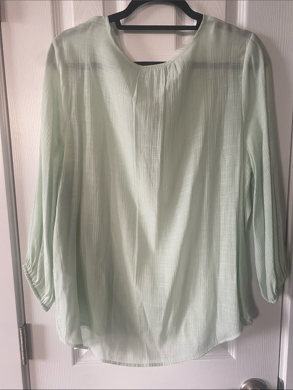 Liz Claiborne Sea Foam Green Sheer Button Front Peasant-Style Blouse Sz Large - Picture 6 of 12